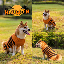 Load image into Gallery viewer, Halloween Dog Sweaters