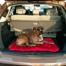 Load image into Gallery viewer, PETRAVEl Portable Foldable Dog Bed