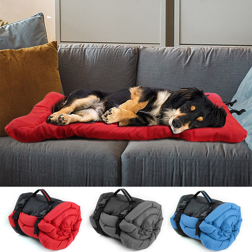PETRAVEl Portable Foldable Dog Bed