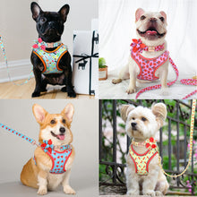Load image into Gallery viewer, PET ARTIST Custom Print Dog Collar
