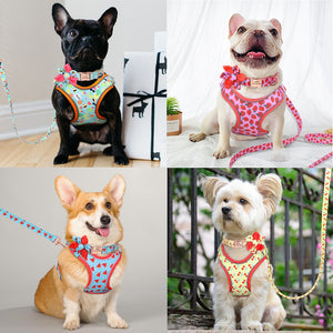 PET ARTIST Custom Print Dog Collar