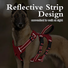 Load image into Gallery viewer, PETSQUARES Reflective Waterproof Dog Harness Vest With Handle