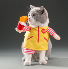 Load image into Gallery viewer, PETSQUARES Pet Halloween Costumes