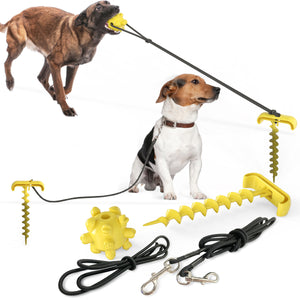 Tie Dog Lease Toy