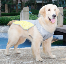 Load image into Gallery viewer, PETSQUARES Dog Cool Summer Vest