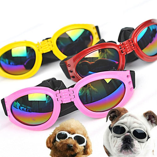 PETSQUARES Foldable Sunglasses for Dogs