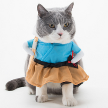 Load image into Gallery viewer, PETSQUARES Pet Halloween Costumes