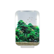 Load image into Gallery viewer, Small Ecology Intellect Acrylic Fishbowl