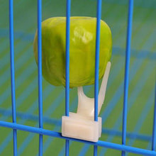 Load image into Gallery viewer, PETSQUARES Bird Cage Fork Food Holder