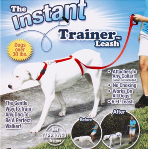 Instant Dog Trainer Leash - PetSquares