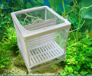 Fish Tank Aquarium Incubator