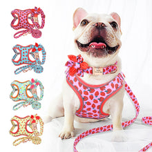 Load image into Gallery viewer, PET ARTIST Custom Print Dog Collar