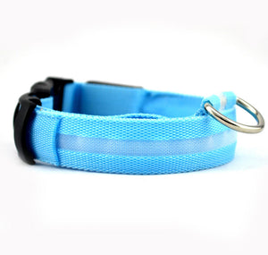eLife's Nylon Dog Collar