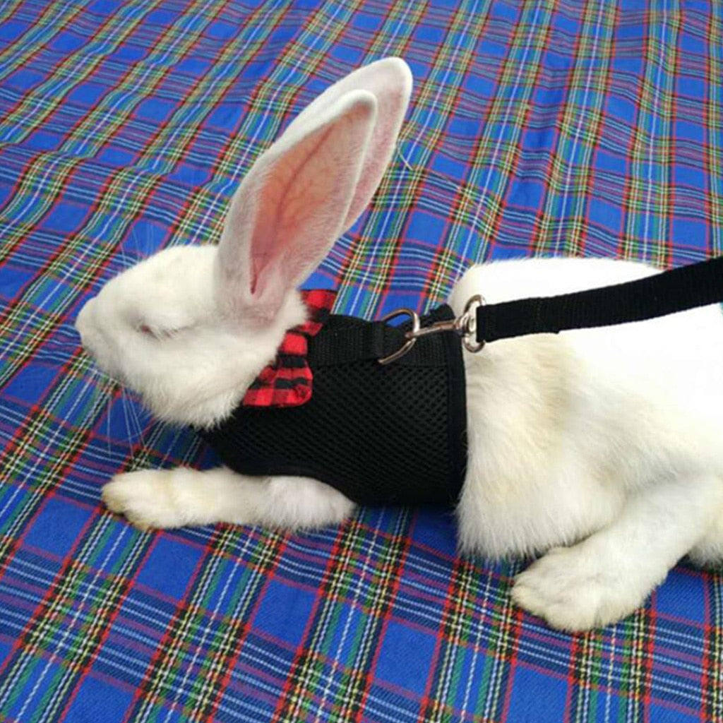 Intelitopia Rabbits Hamster Vest Harness With Leas - PetSquares