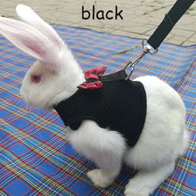 Load image into Gallery viewer, Intelitopia Rabbits Hamster Vest Harness With Leas - PetSquares