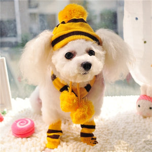 Knitted Striped Hats Scarf for Dogs