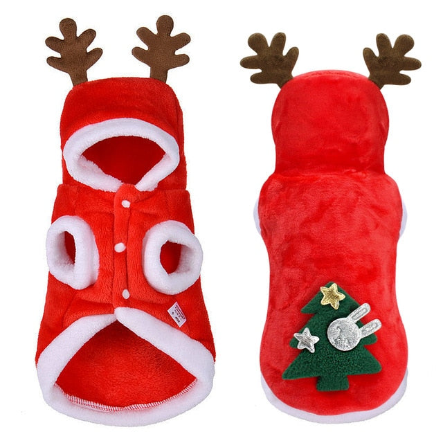 DiDog Santa Costume for Small Pets - PetSquares