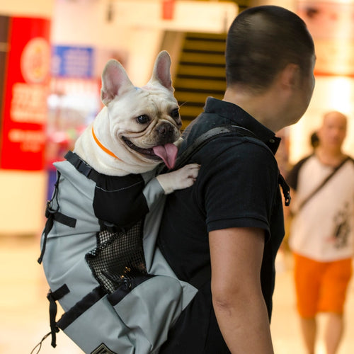 HolaPet Adjustable Dog Backpack - PetSquares