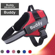 Load image into Gallery viewer, Bolux Personalized Dog Harness - PetSquares