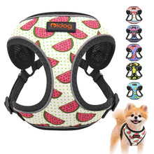 Load image into Gallery viewer, DiDog Nylon Reflective Pet Harness