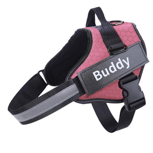 Bolux Personalized Dog Harness - PetSquares