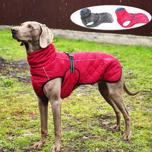 Load image into Gallery viewer, Outdoor Waterproof Reflective Dog Jacket