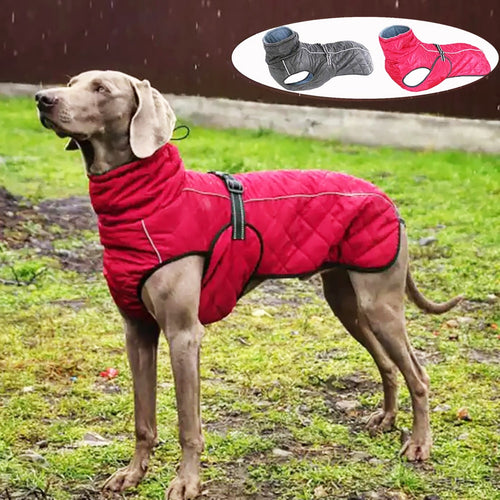 Outdoor Waterproof Reflective Dog Jacket