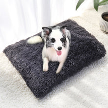 Load image into Gallery viewer, DiDog Long Plush Pet Bed