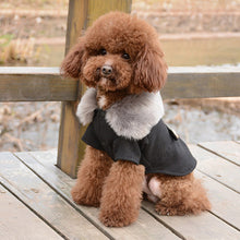 Load image into Gallery viewer, Dog Winter Jacket With Fur - PetSquares