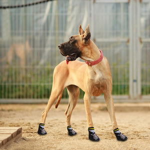Outdoor Waterproof Dog Shoes with Fixed Belt - PetSquares