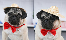 Load image into Gallery viewer, Pet Straw Hat - PetSquares