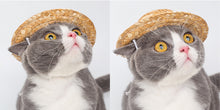 Load image into Gallery viewer, Pet Straw Hat - PetSquares