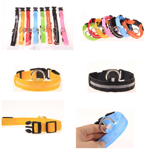 Nylon Pet Dog Collar - PetSquares