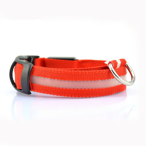 Nylon Pet Dog Collar - PetSquares