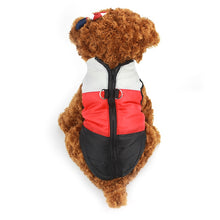 Load image into Gallery viewer, Dog Windproof Winter Jacket - PetSquares