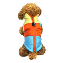Load image into Gallery viewer, Dog Windproof Winter Jacket - PetSquares