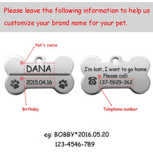 Load image into Gallery viewer, DiDog Personalized Pet Name Tags - PetSquares