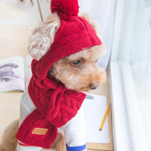 ElfiDog's Best Baby Knitting Winter Sets for Small Dogs