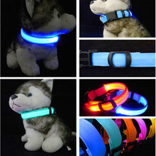Load image into Gallery viewer, Nylon Pet Dog Collar - PetSquares
