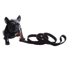 Load image into Gallery viewer, Black Velvet Soft Collar and Leash - PetSquares