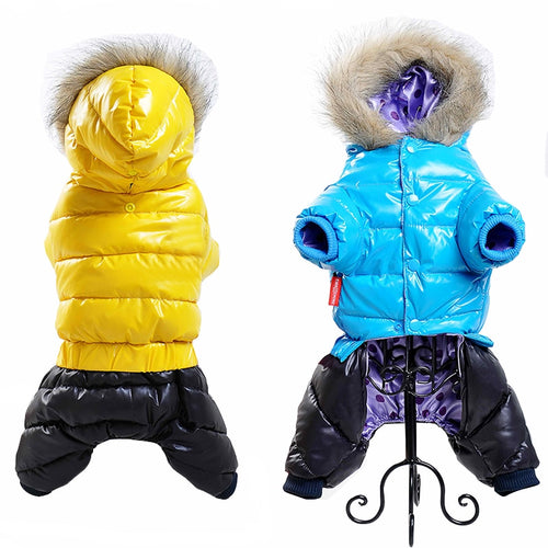 PETSQUARES Waterproof Winter Dog Jacket For Small Dogs