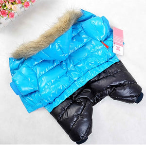 PETSQUARES Waterproof Winter Dog Jacket For Small Dogs