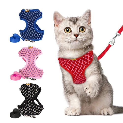 YuDodo Small Pet Harness - PetSquares