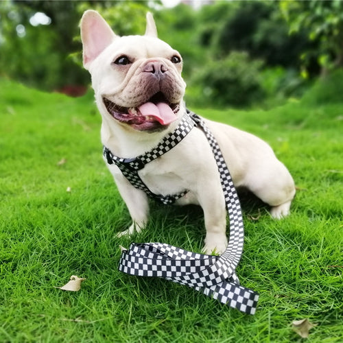 No Pull Dog Harness - PetSquares