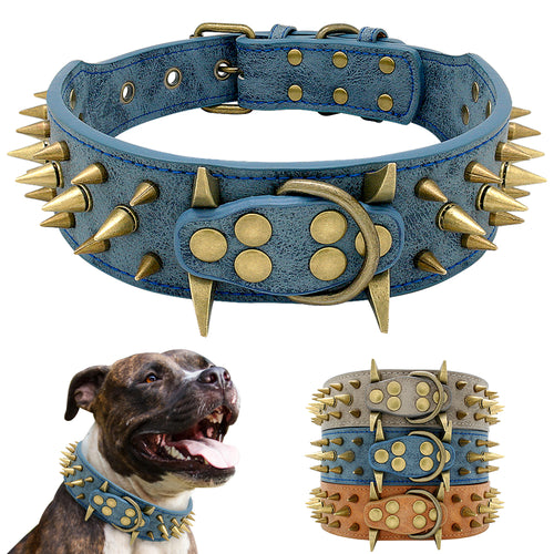 Spiked Dog Collar - PetSquares