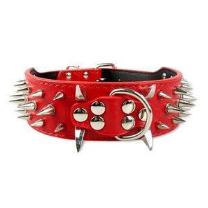 Spiked Dog Collar - PetSquares