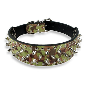 Spiked Dog Collar - PetSquares