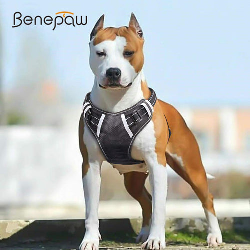 Breathable No Pull Harness Vest - PetSquares