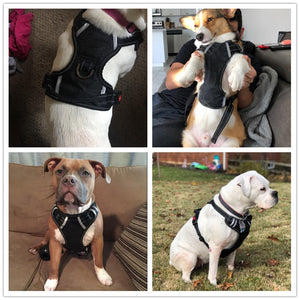 Breathable No Pull Harness Vest - PetSquares