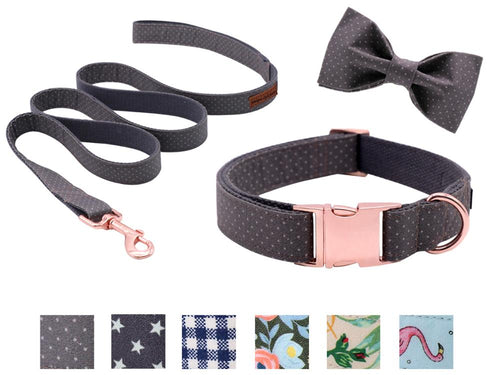 Dot Design Dog Leash and Collar - PetSquares